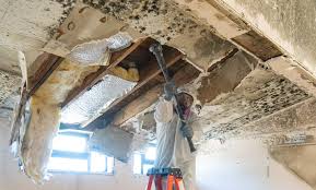 Best Forensic Mold Investigation  in Mount Healthy Heights, OH